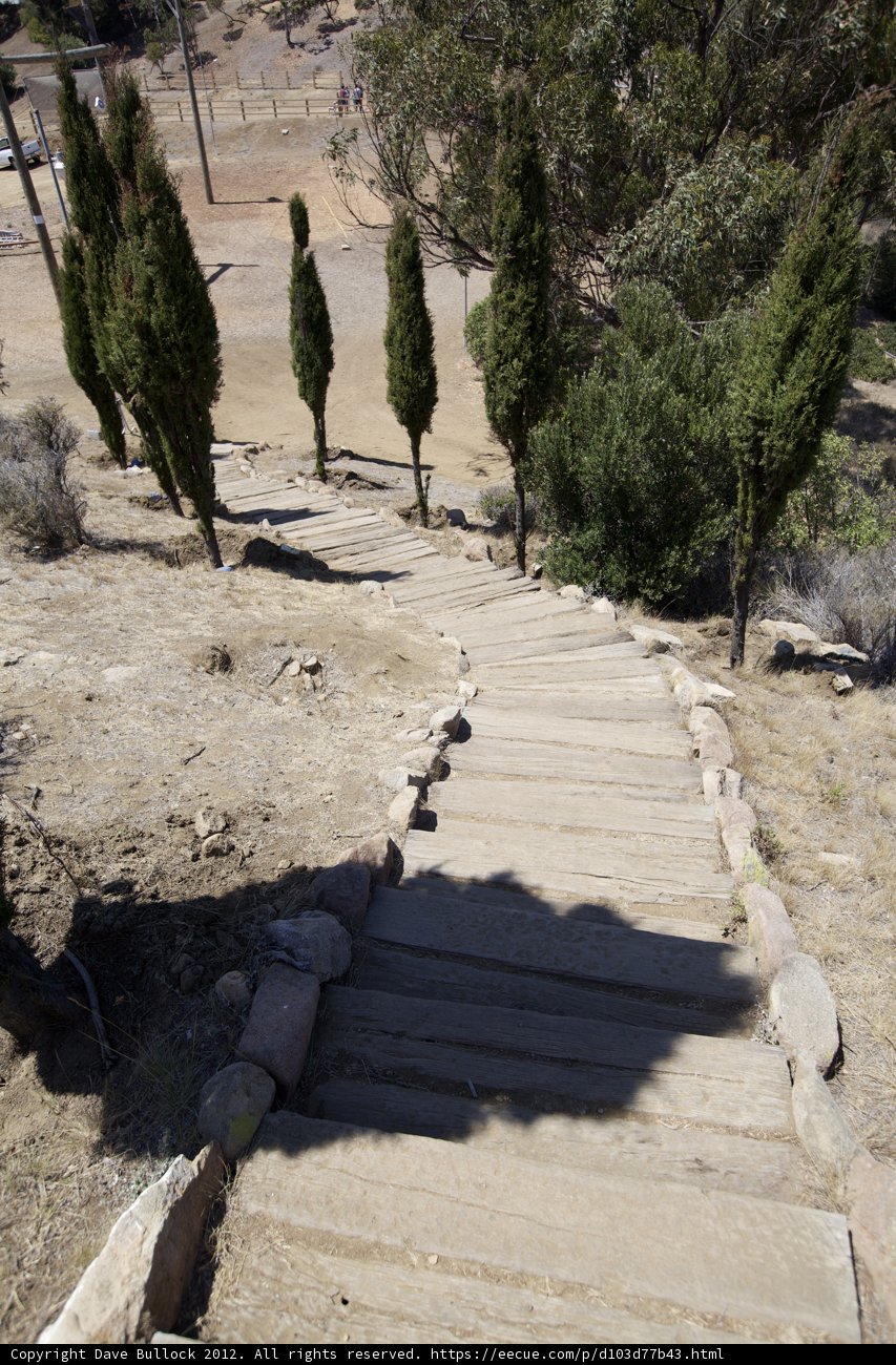 The Path to Wilderness
