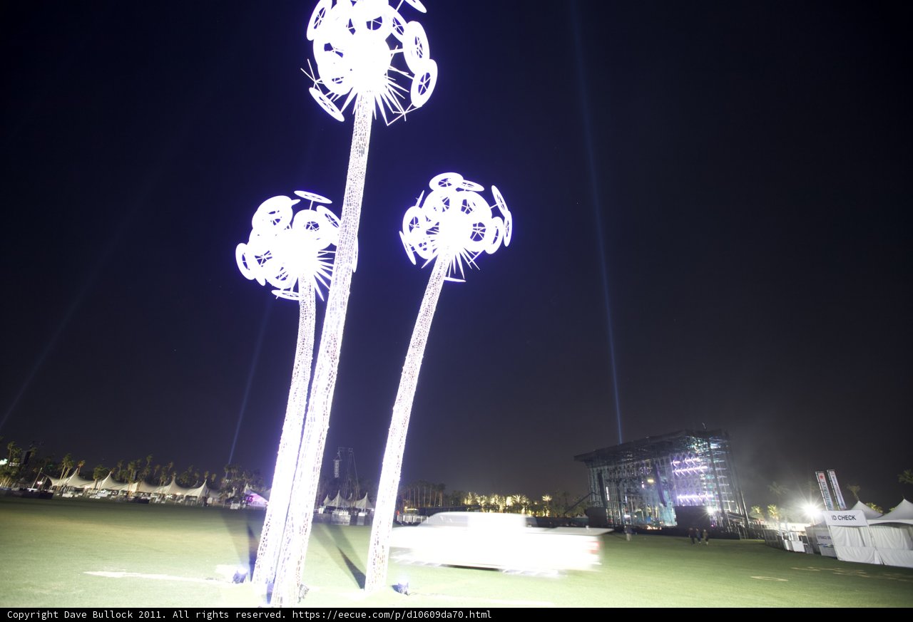 Illuminated Palm Tree in the Night Sky