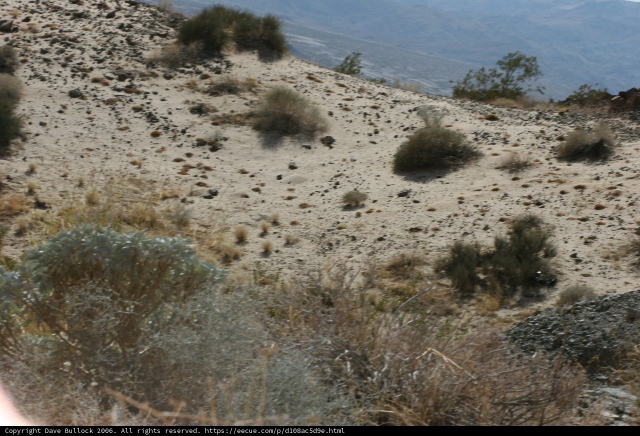 Riding through the Wilderness