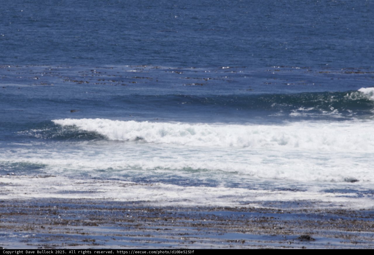 Ocean Symphony