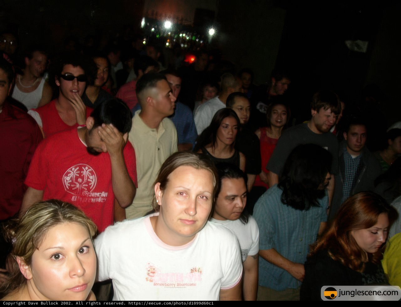 Nightclub Crowd
