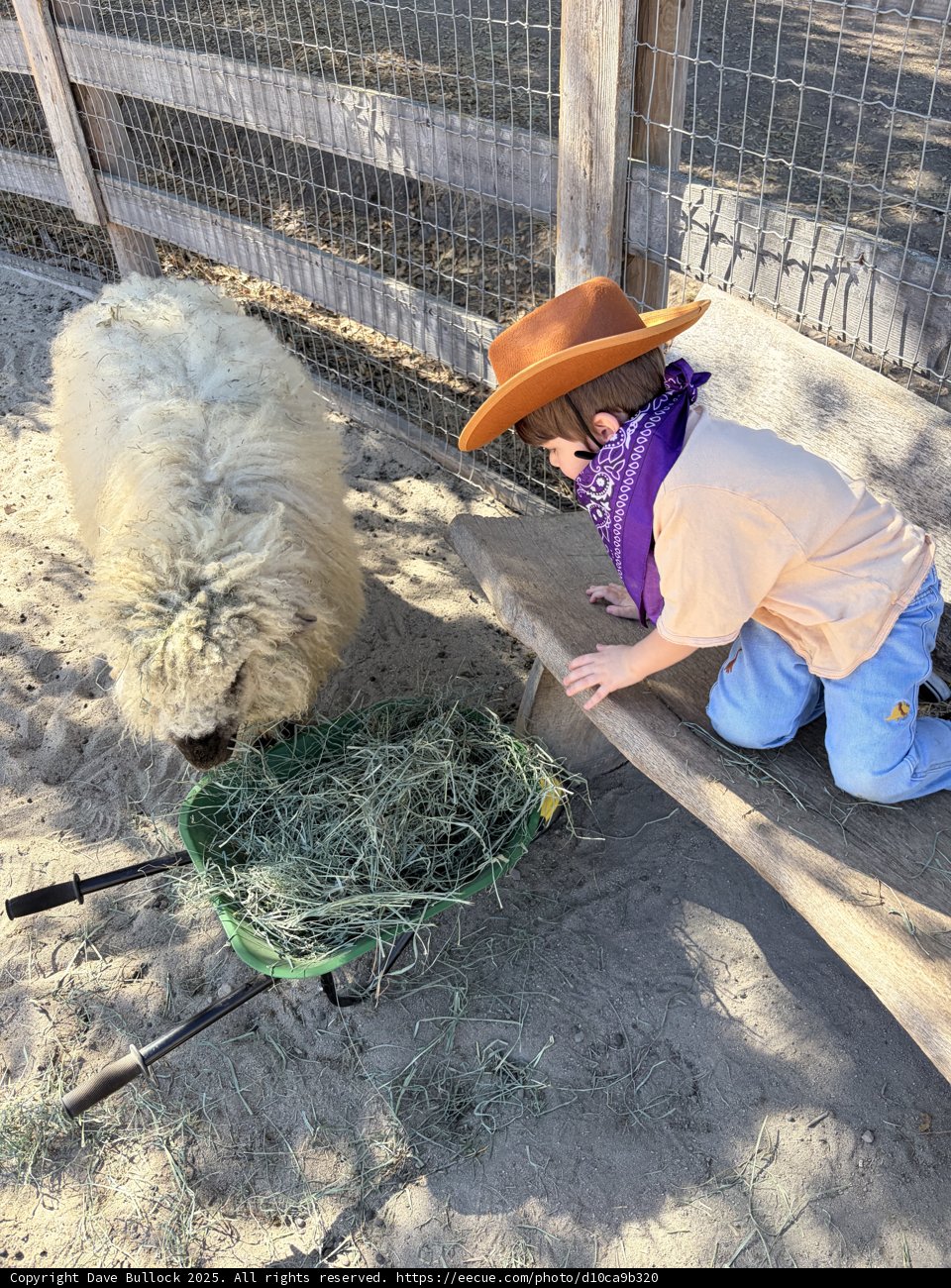Rustic Encounters in Carmel Valley