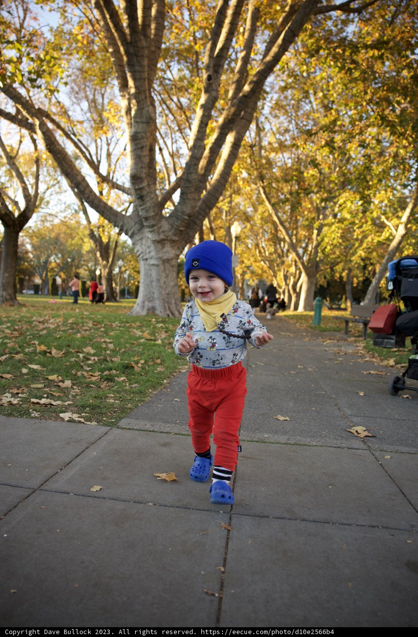 Skater Kid: Wesley's Young Adventures