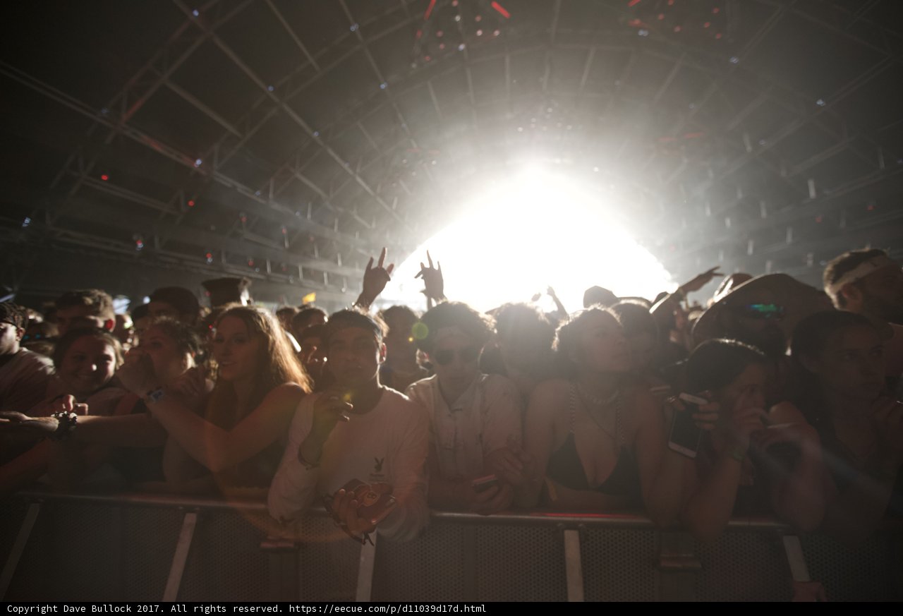 Sun-Kissed Concert Crowd