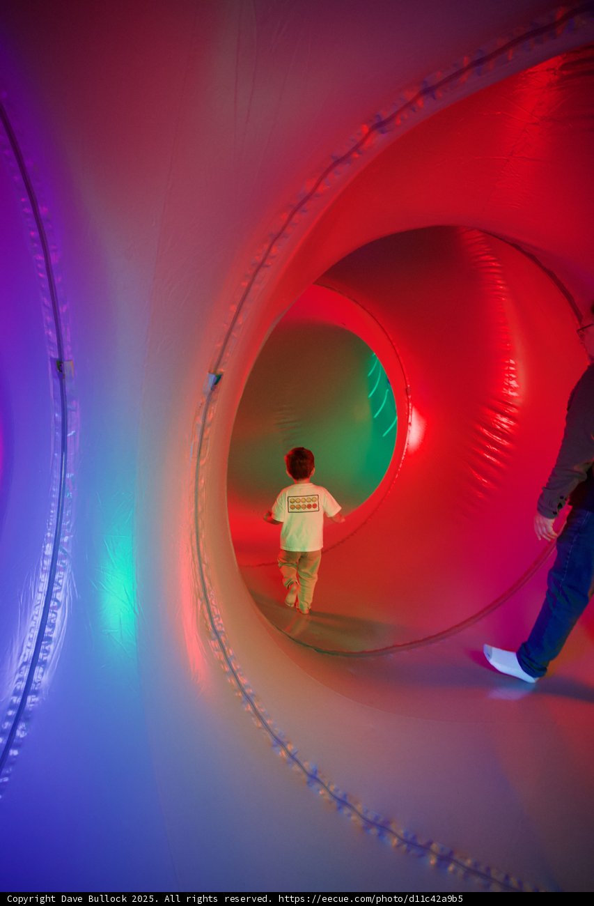 Exploring the Neon Labyrinth