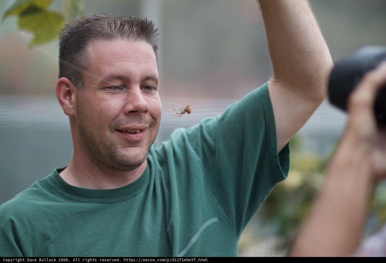Insect Hunter