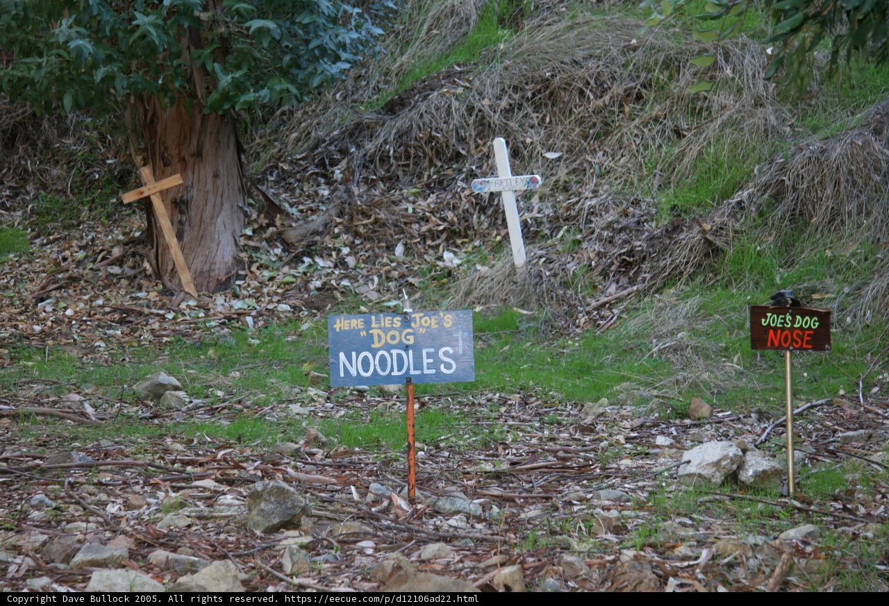 No Trespassing in the Graveyard