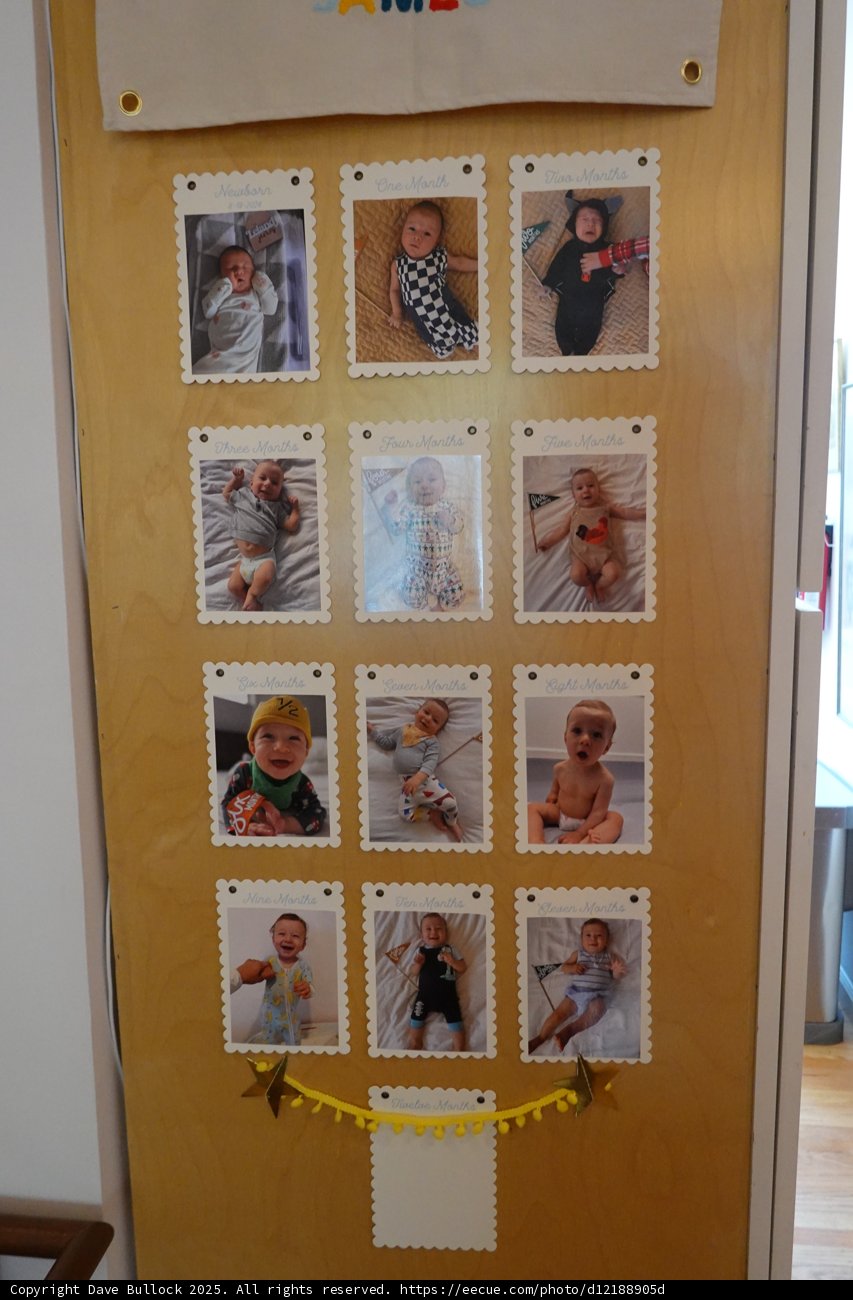 A Year of Joyful Beginnings