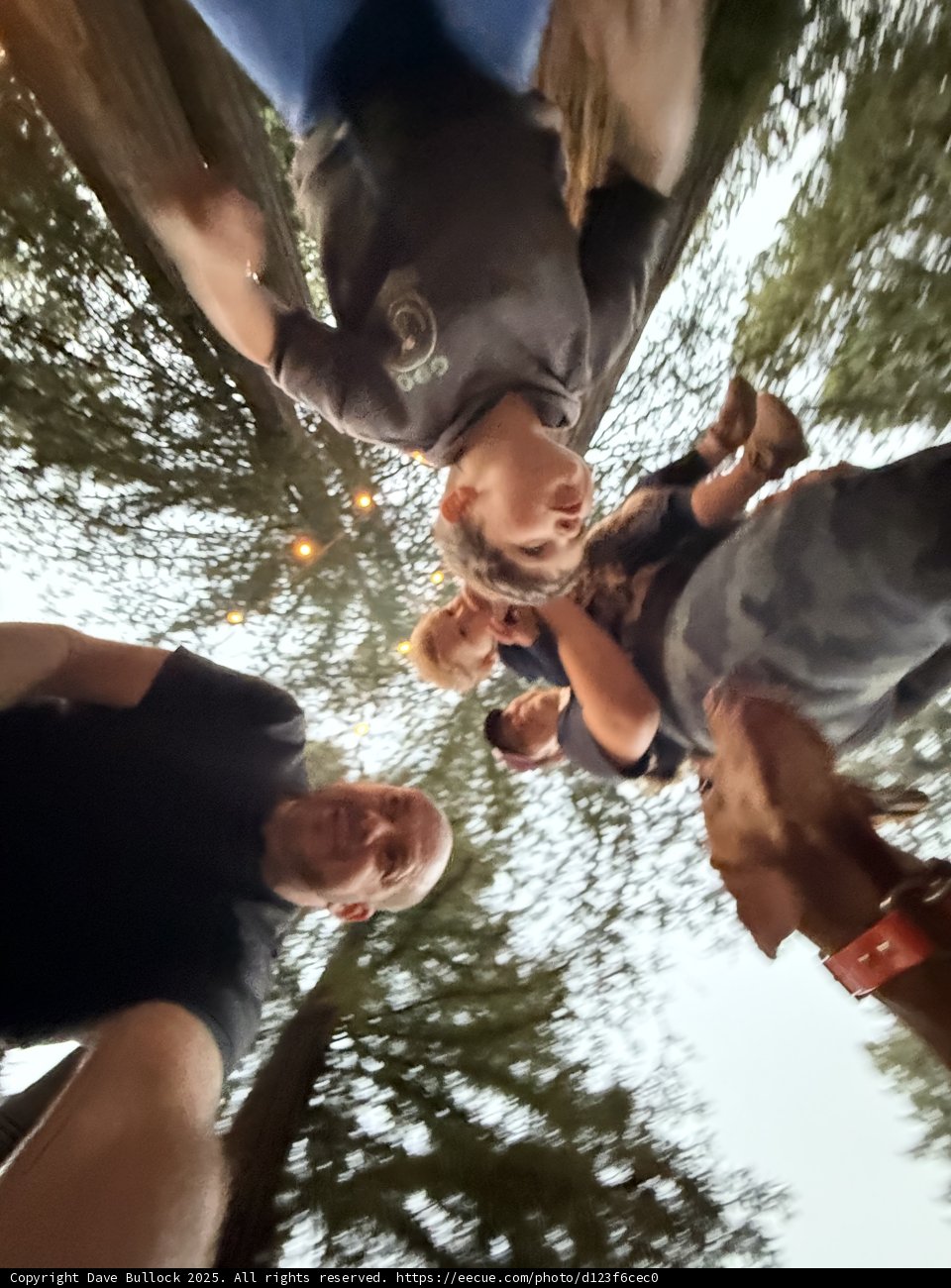Togetherness in the Redwoods