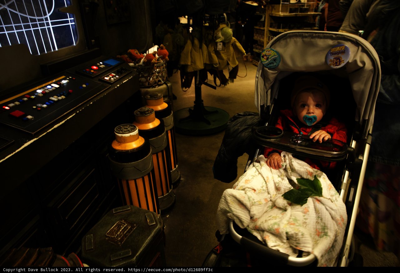 A Magical Day at Disneyland with Little Wesley