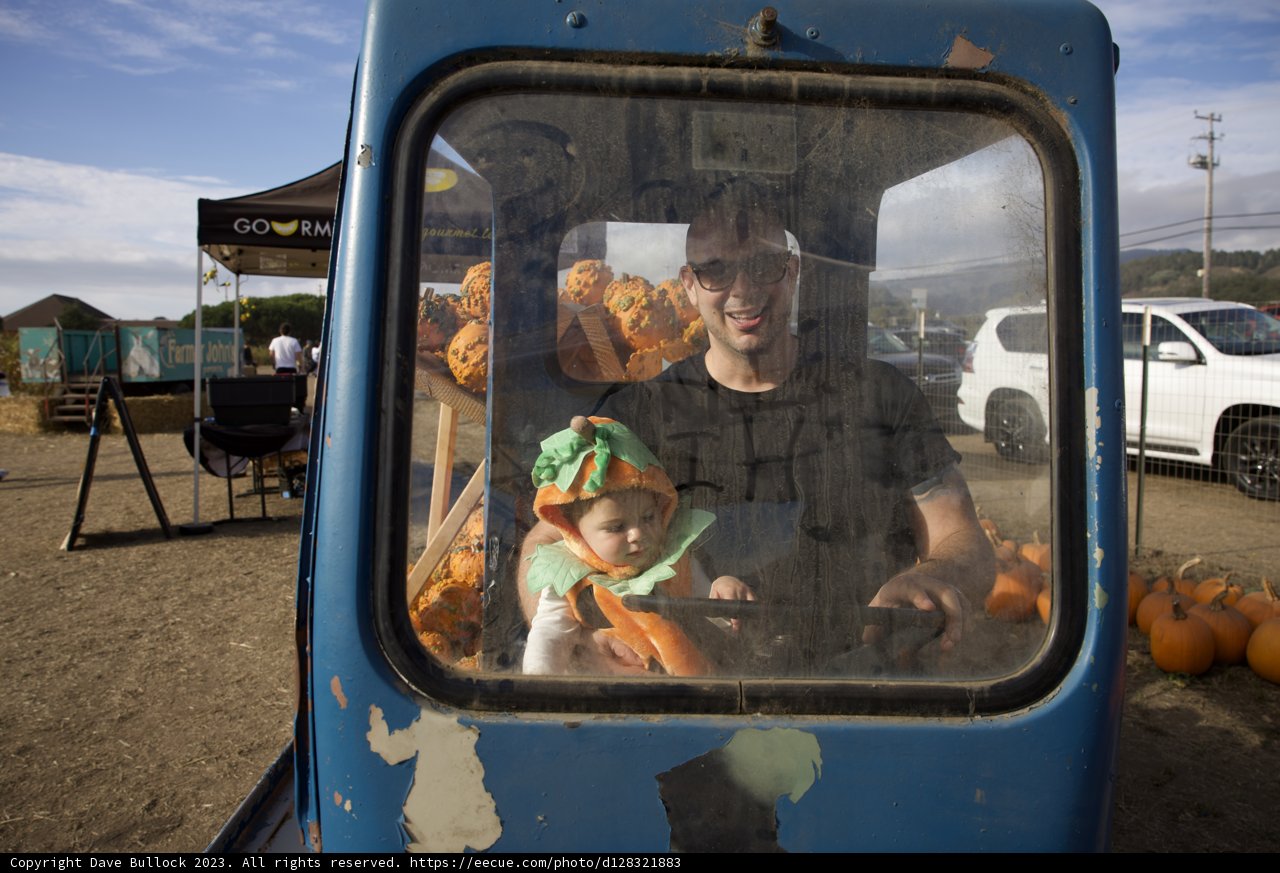 Father-Son Bonding in the Pumpkin Patch