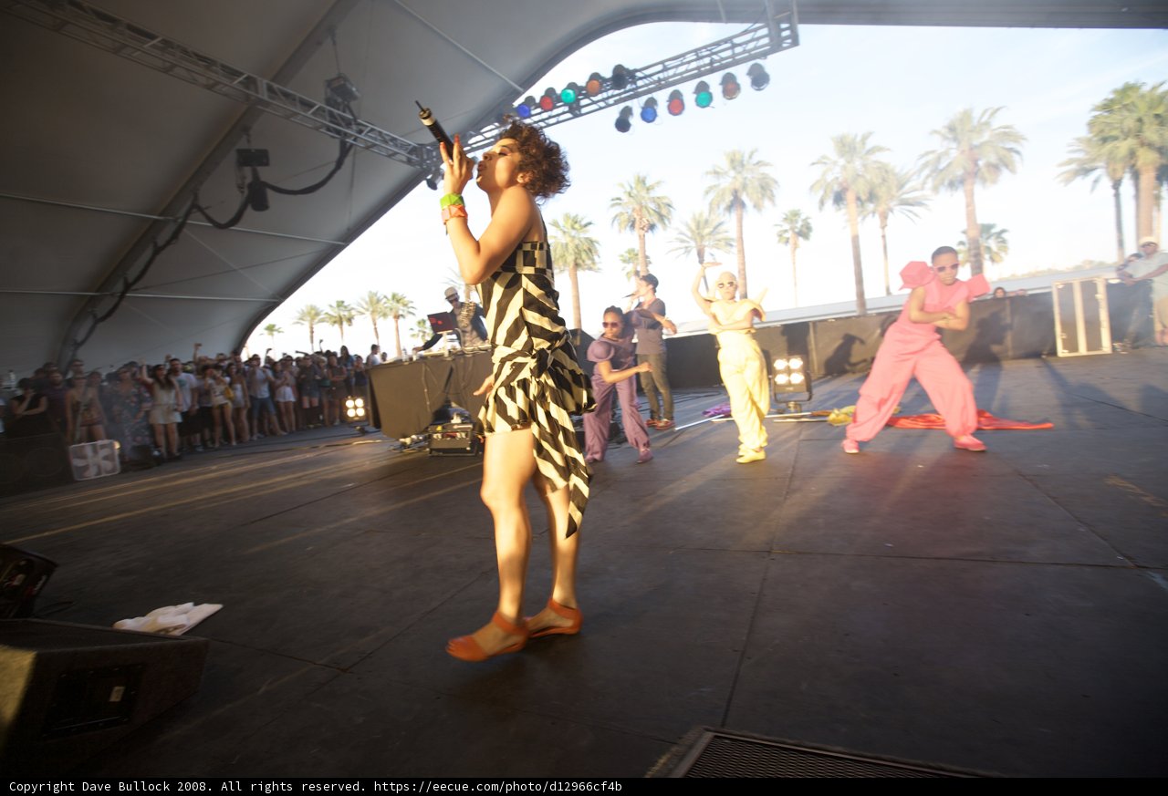 Zebra Print and Hula Dancing