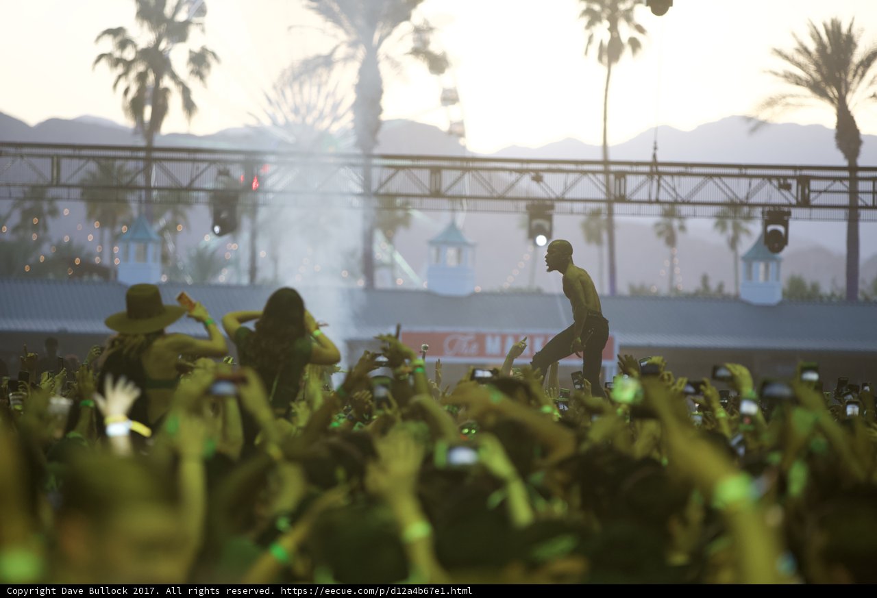Palm Trees and Music: A Coachella Crowd