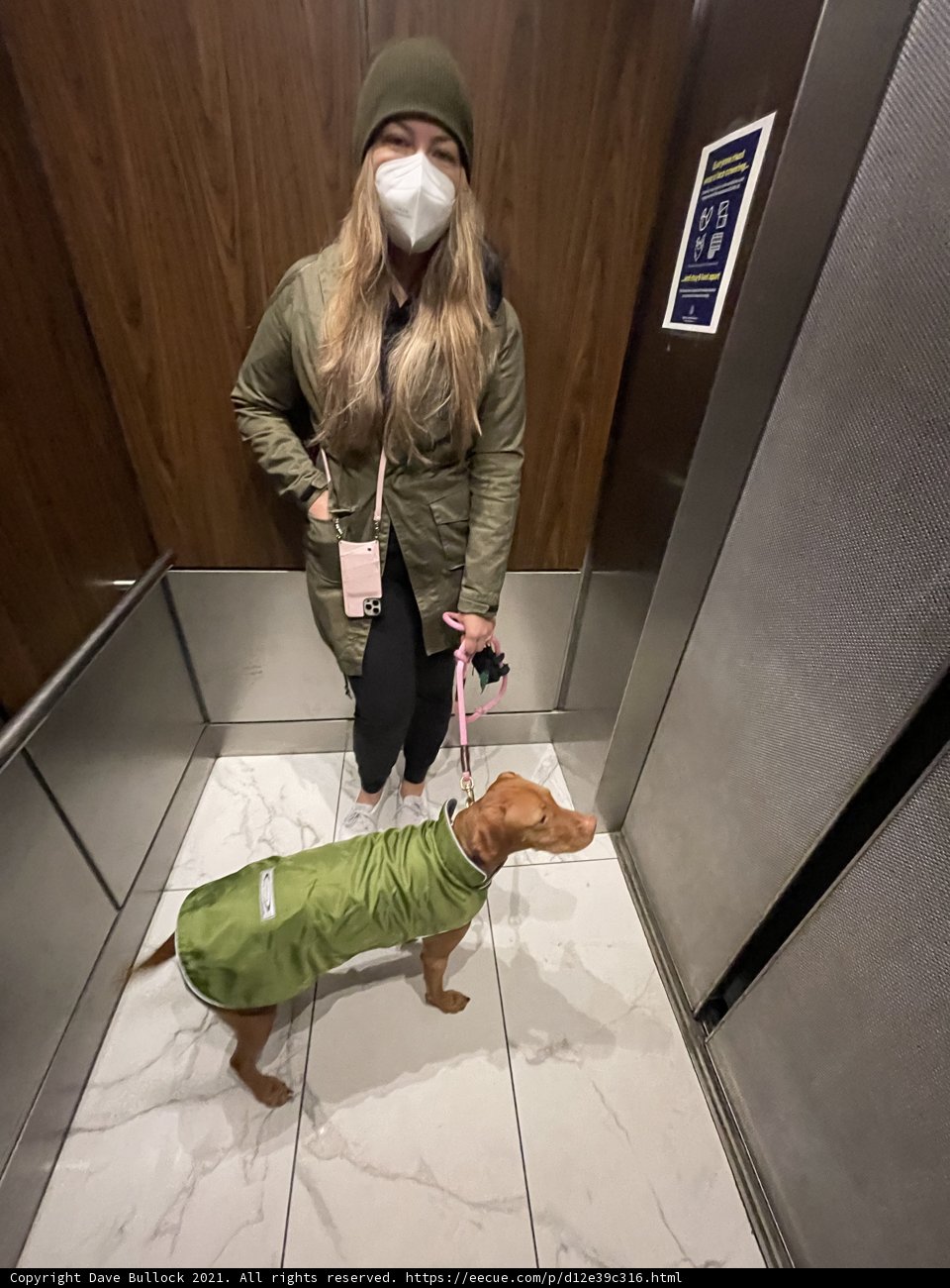 Woman and Dog in Elevator