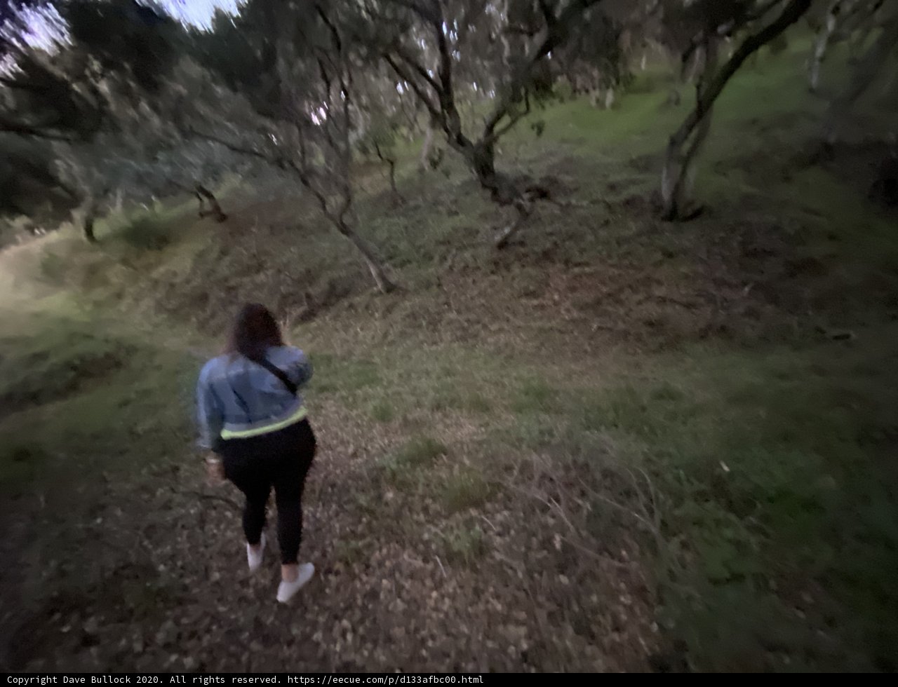 Woman's Stroll through the Carmel Valley Wilderness