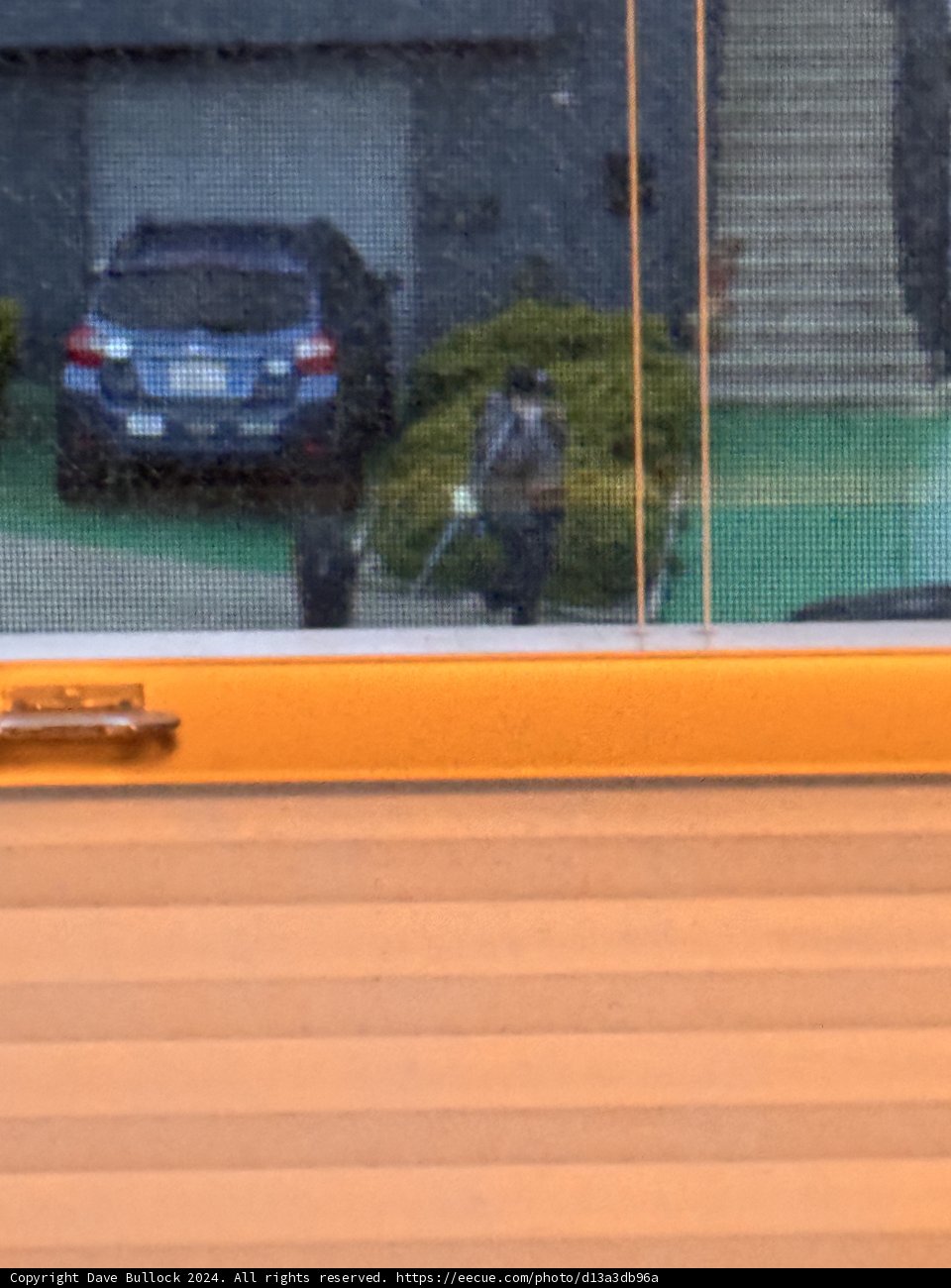 A Moment Through the Screen