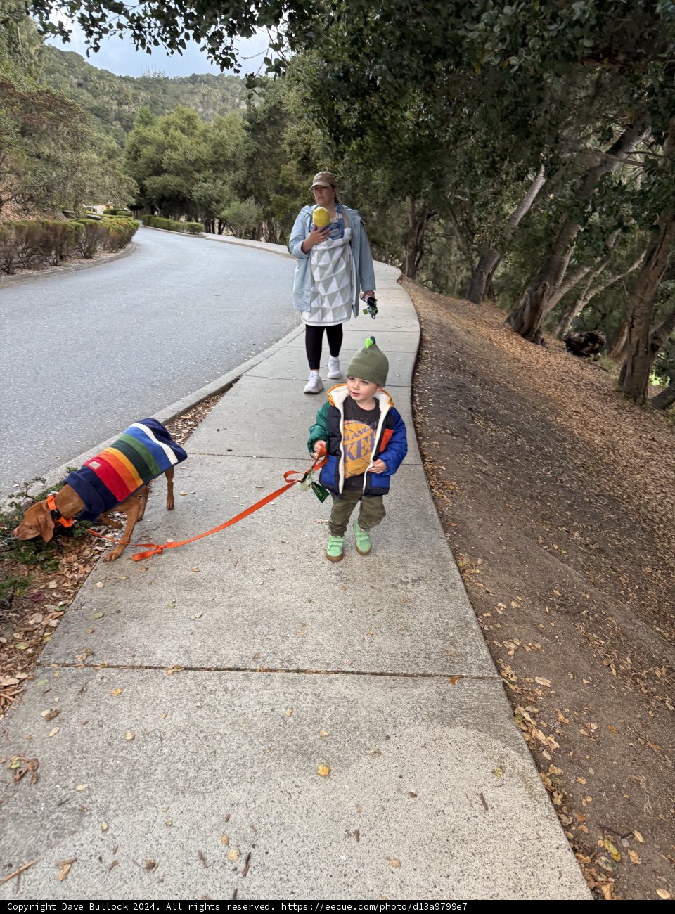Strolling Through Carmel Valley