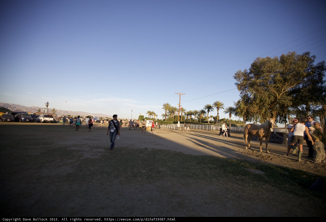 Walking with the Horse