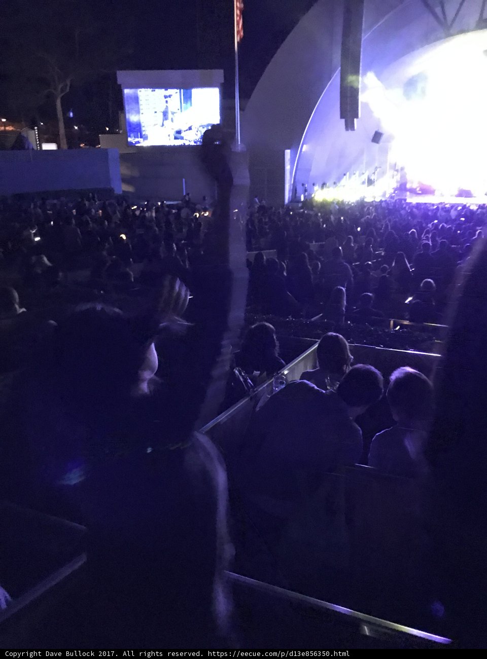 Electric Crowd at the 2017 Rock Concert