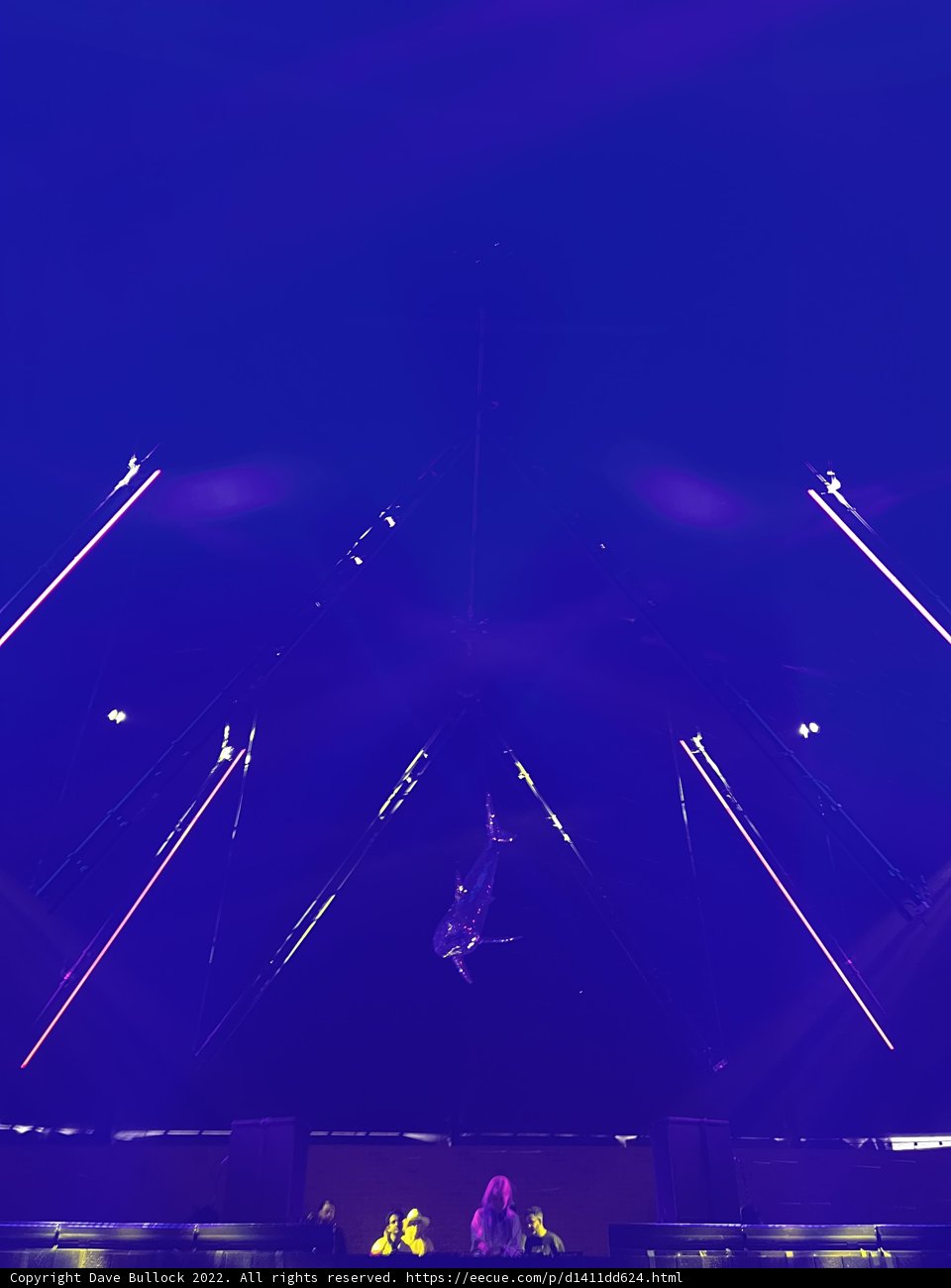 Spotlight Solo