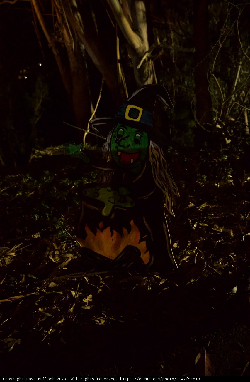 Enigmatic Halloween Mask at Stern Grove