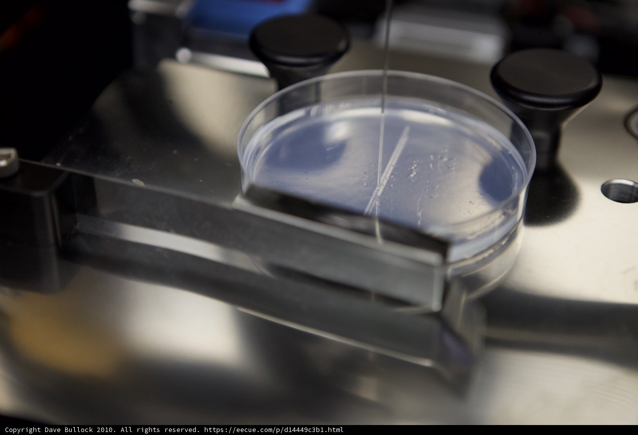Lab Cup with Mysterious Liquid