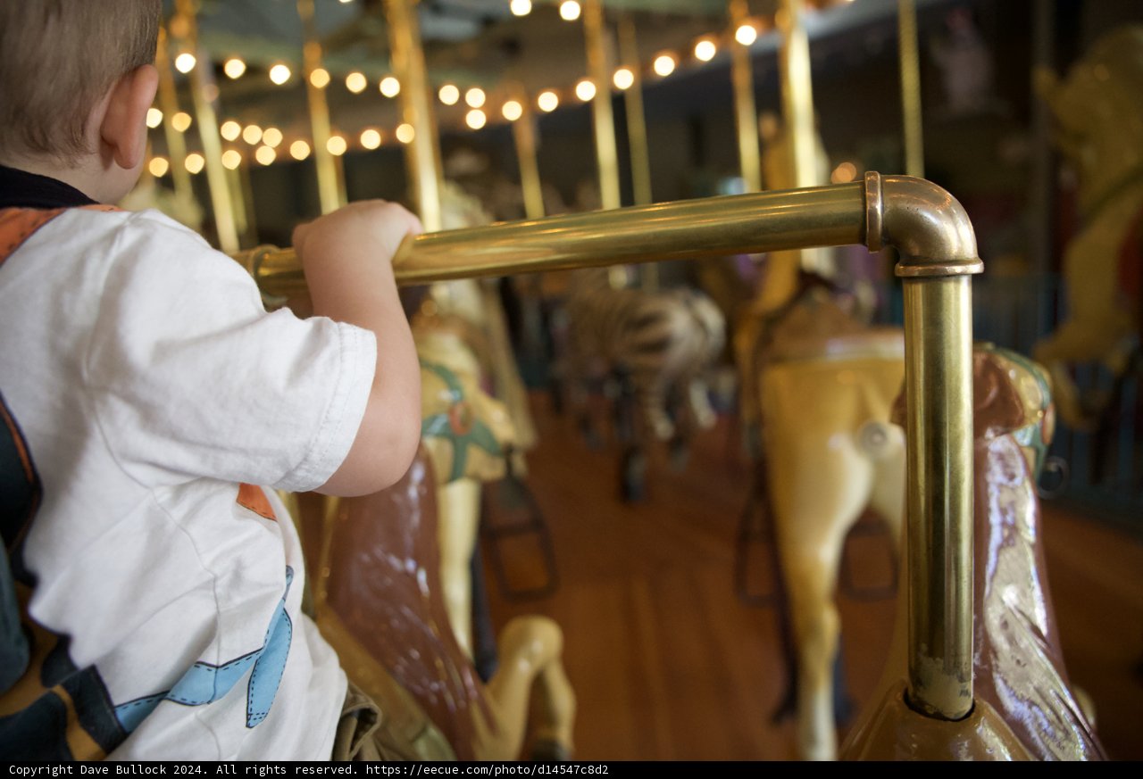Joyful Rounds at Tilden Park Carousel