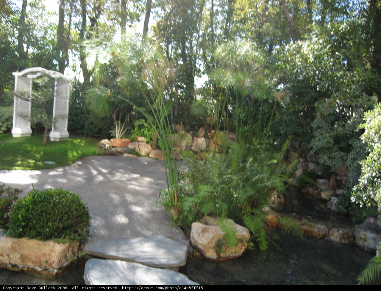 Serene Oasis in the Heart of the City