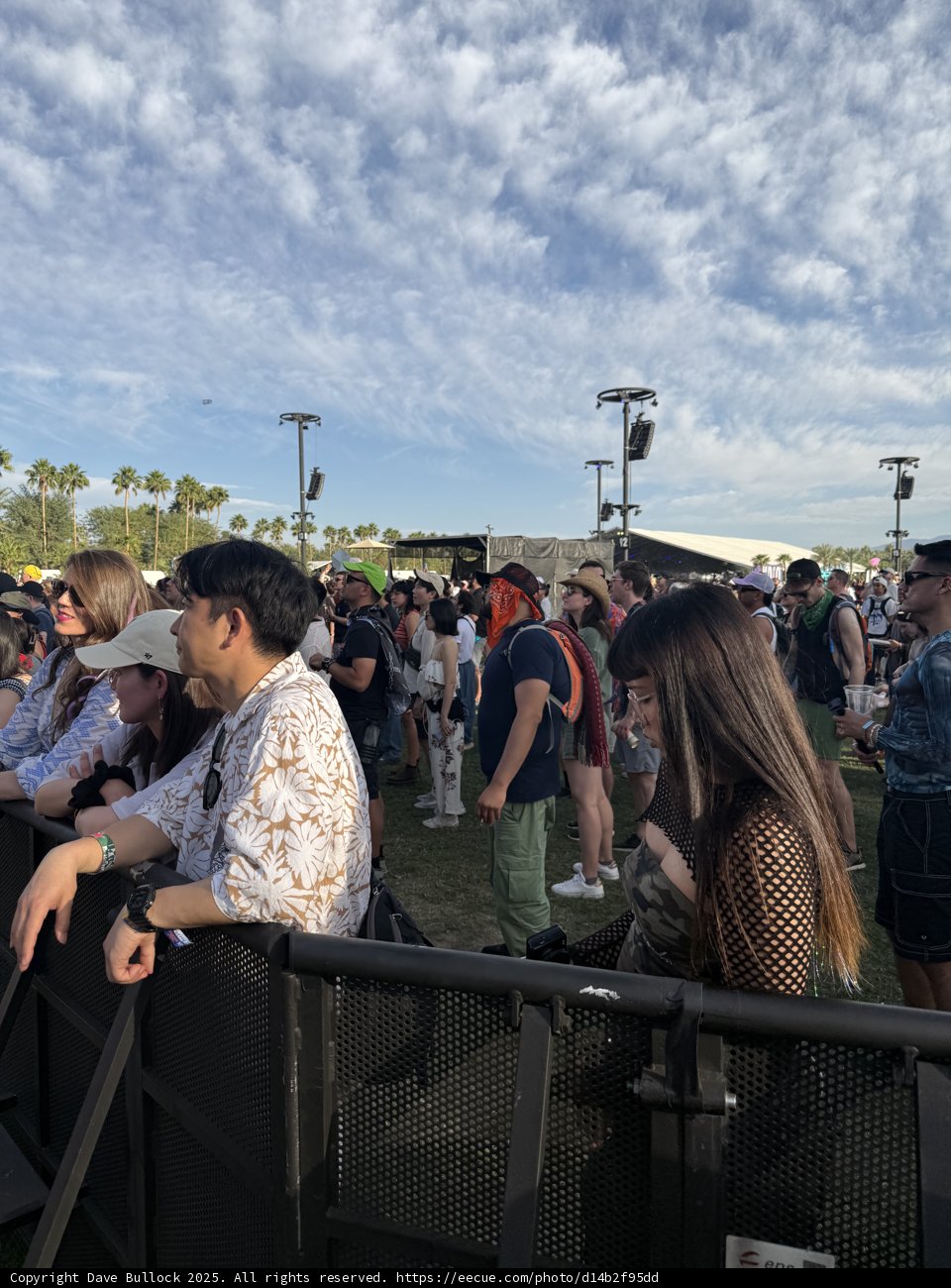 Festival Anticipation