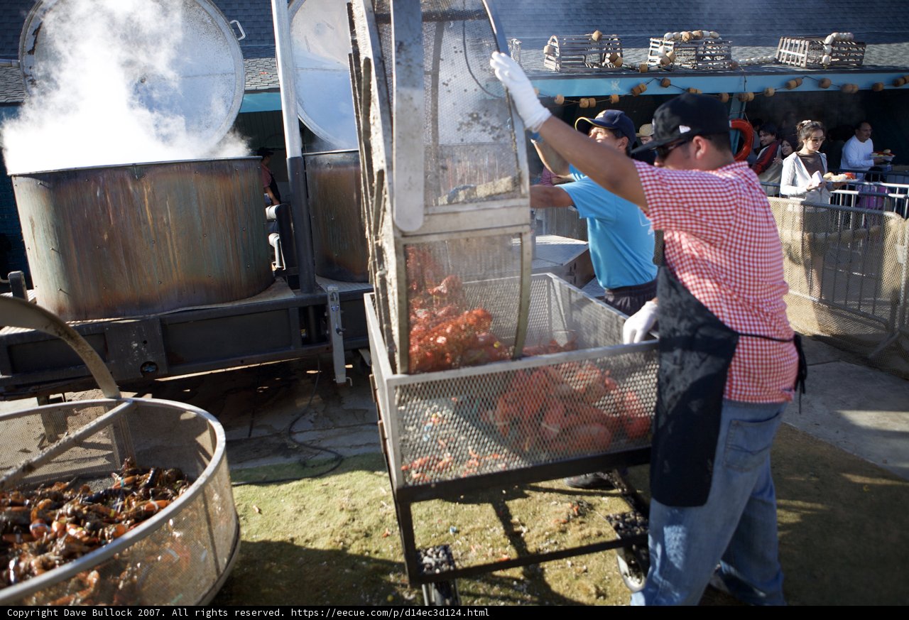 Cooking Up a Seafood Feast