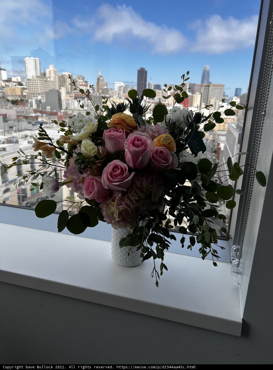 Serene View of a Flowery Window