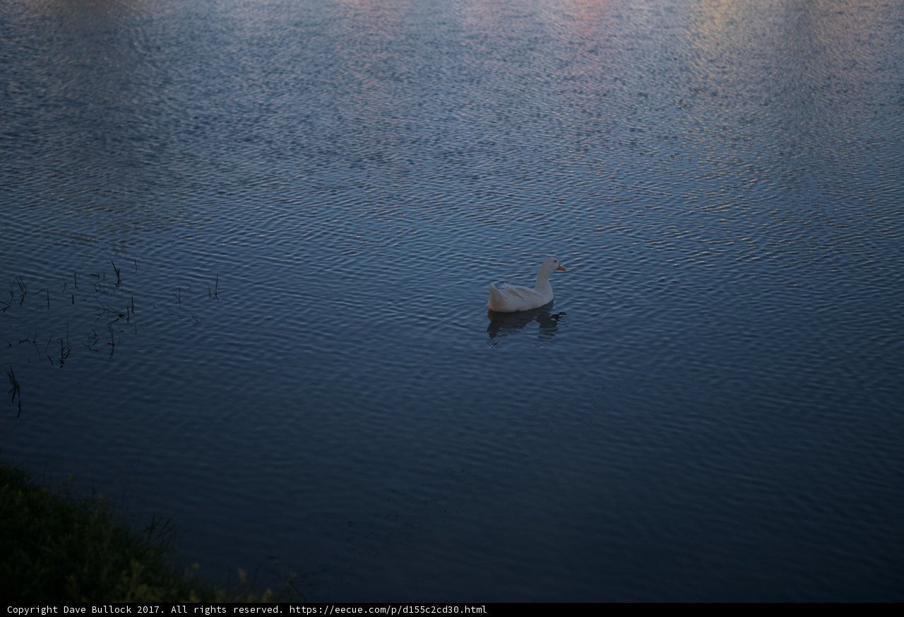 Dusk Reflections