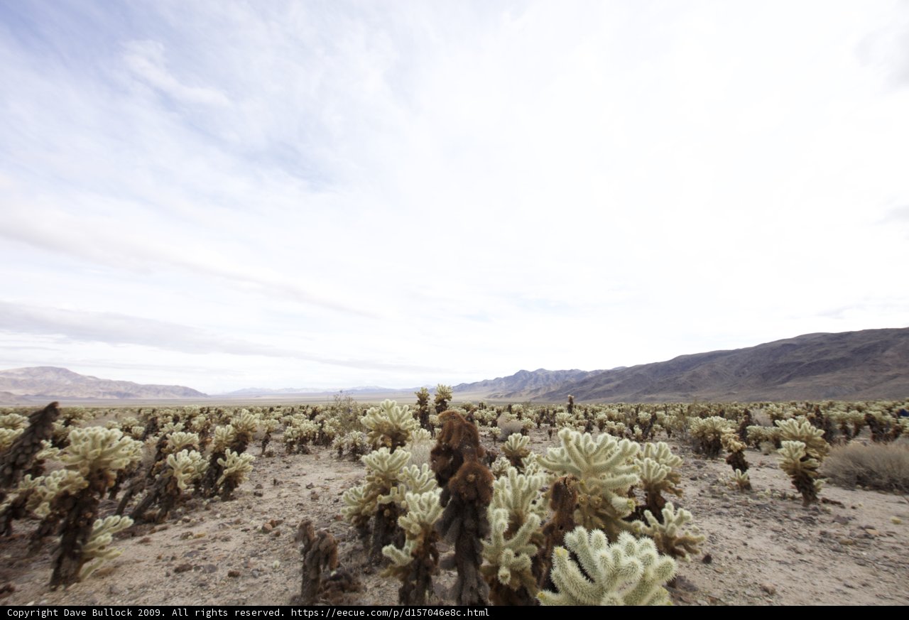 Majestic Desert Scenery