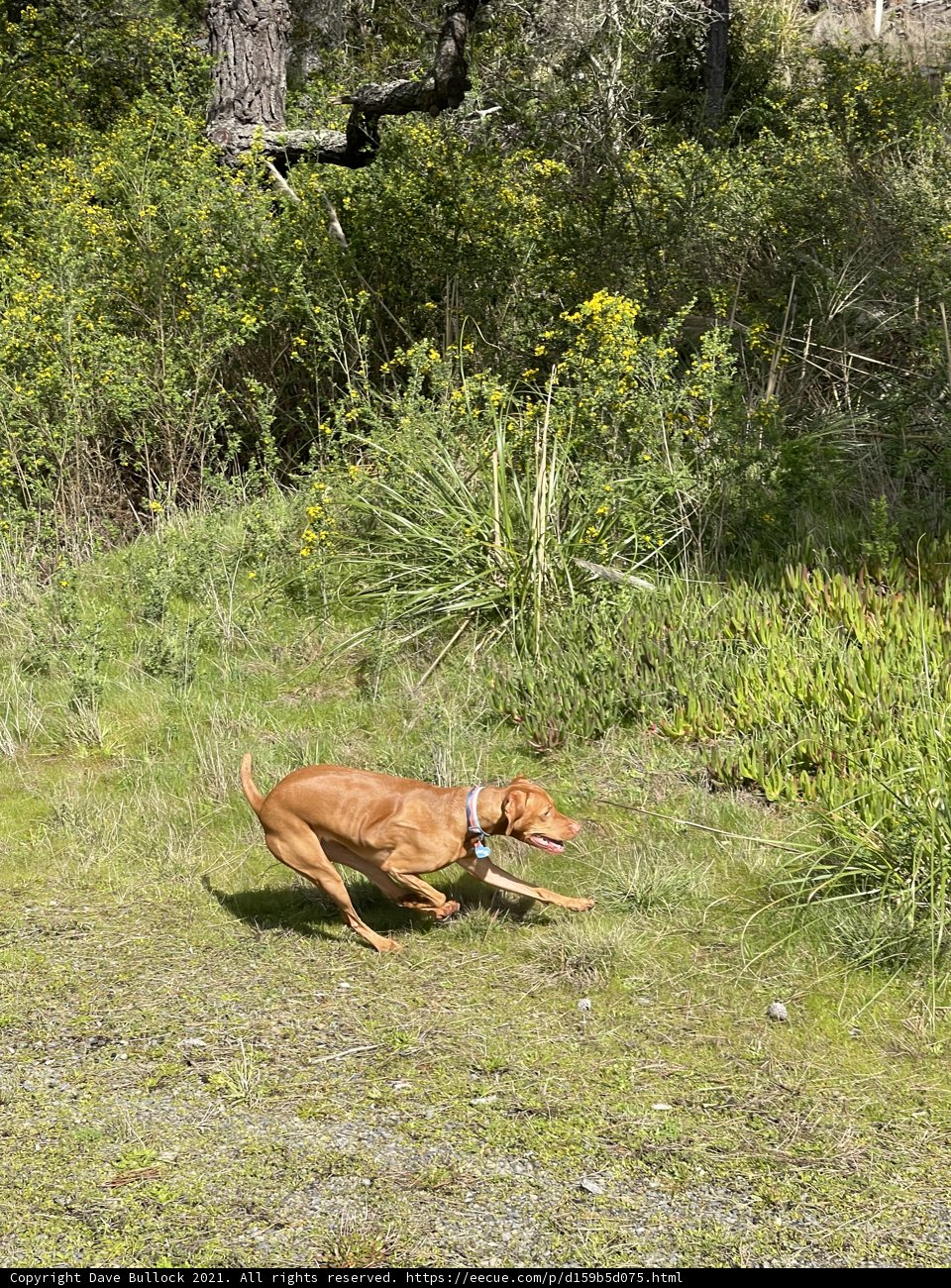 Running Wild in the Grasslands