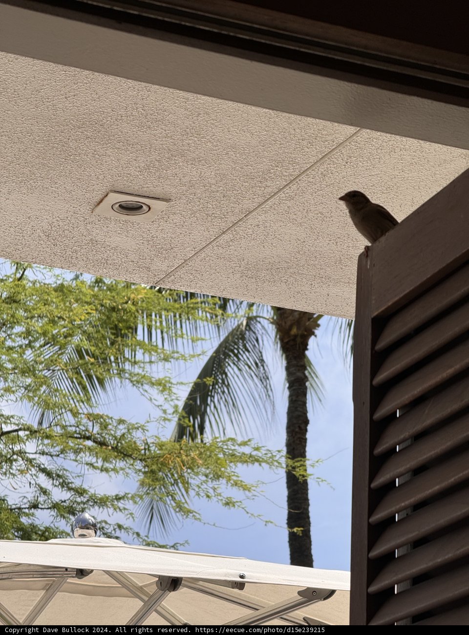 Birds’ Eye View in Honolulu