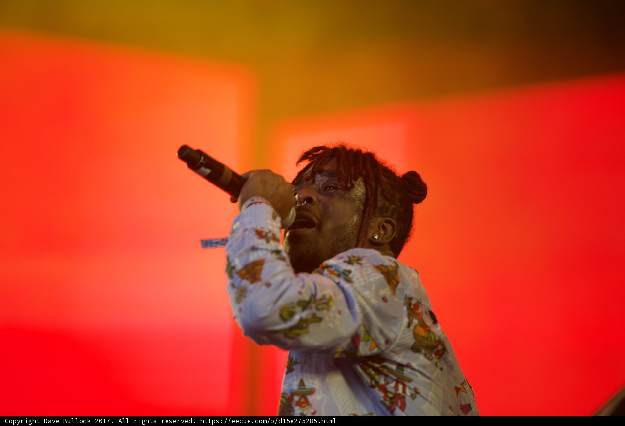 The Dreadlocked Crooner