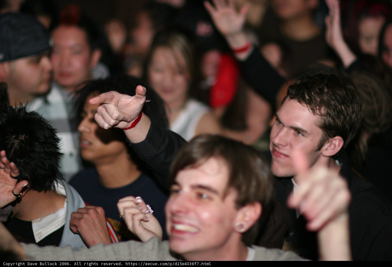 Hands Up in the Crowd