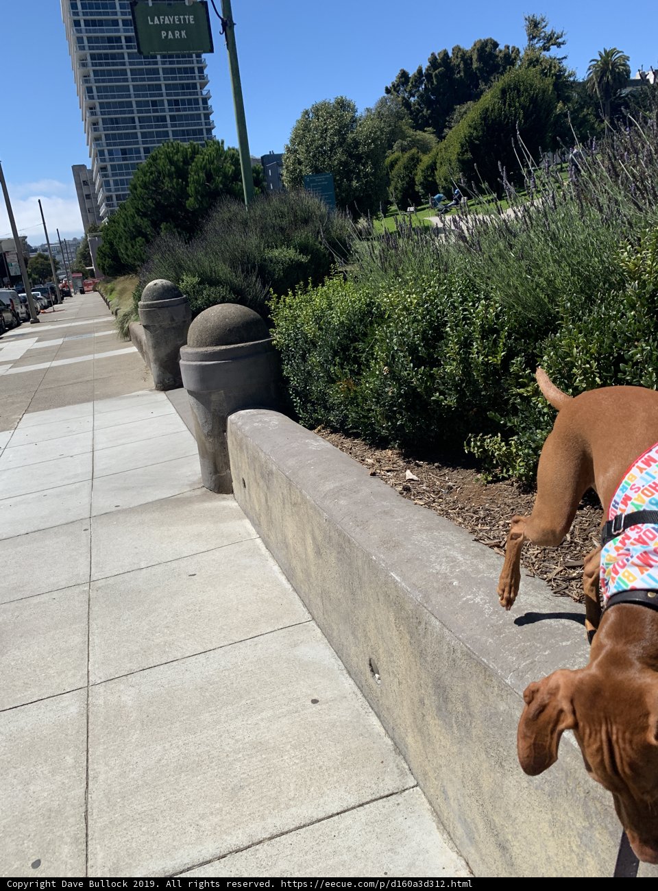 Colorful Vest on a Curb