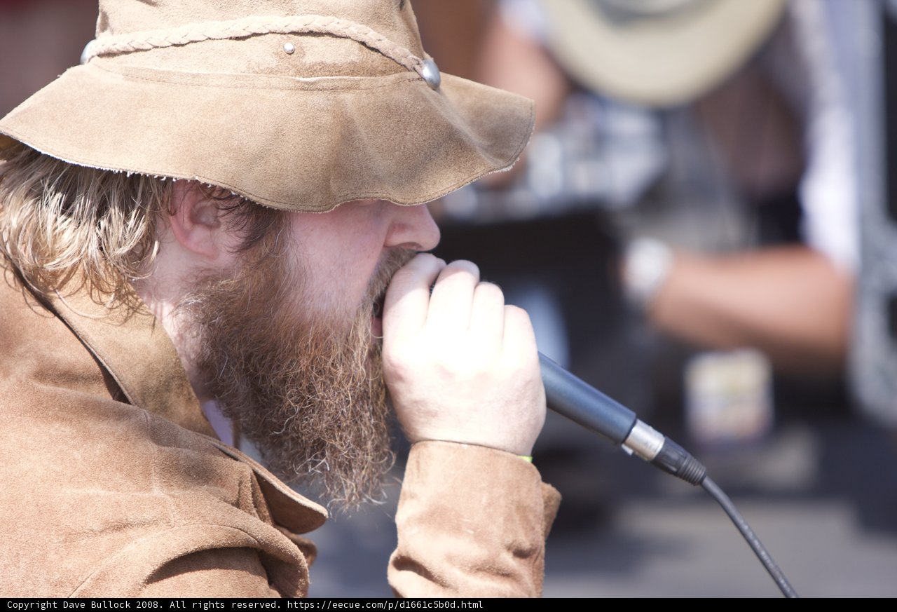 Tom Walker Performing with his Signature Beard