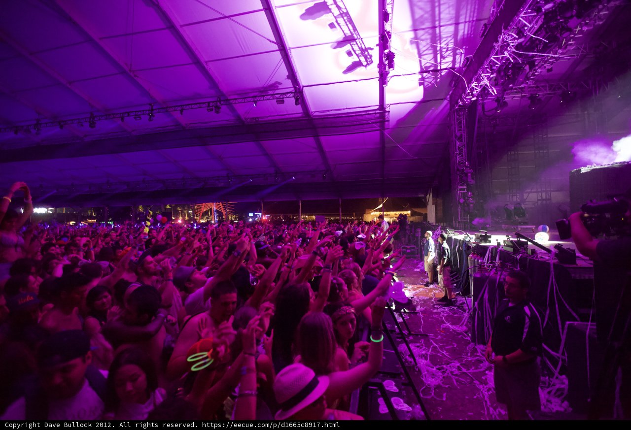 Purple Haze at Coachella Concert