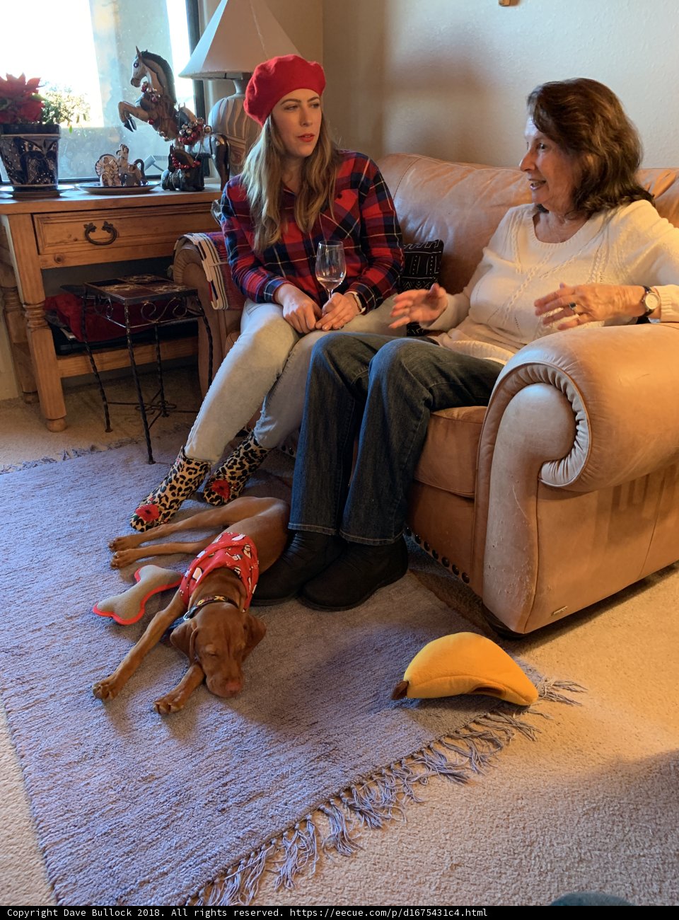Couch Companions