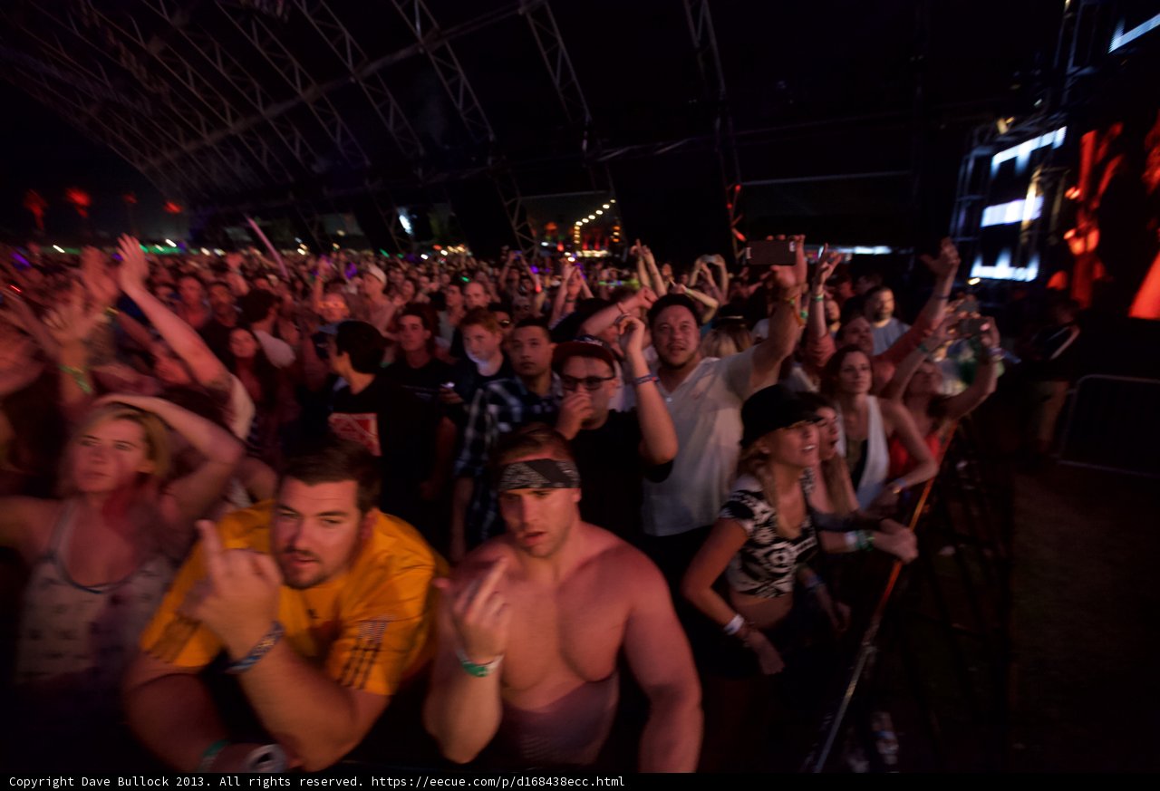 Coachella Crowd Goes Wild