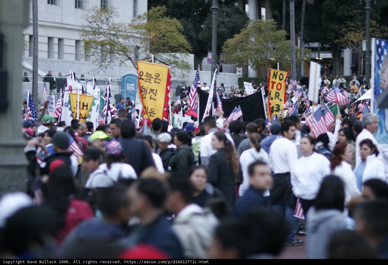 Patriotic Protestors Marching