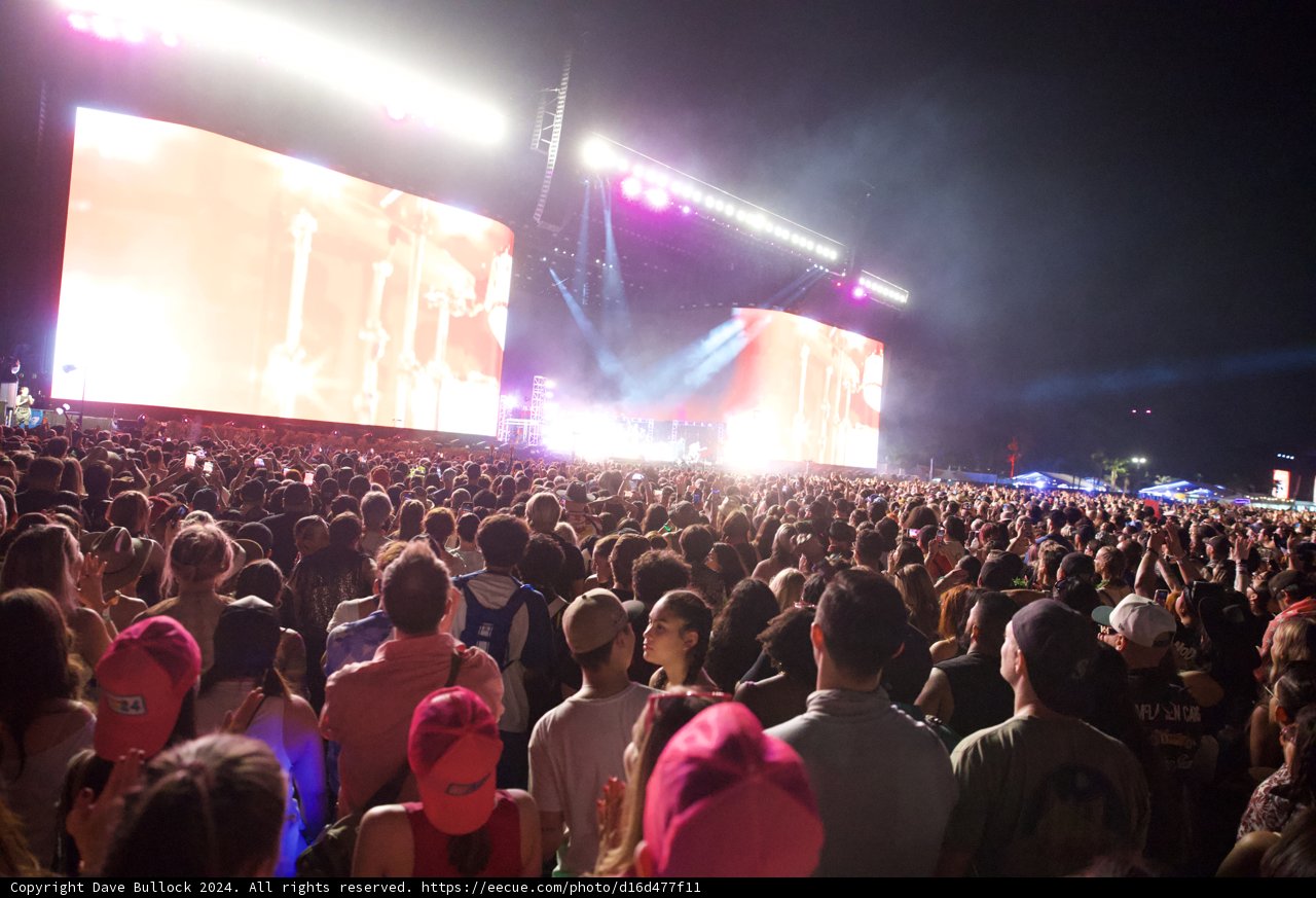Electric Nights at Coachella 2024