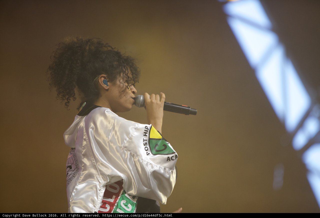 Rocking the Crowd at Coachella