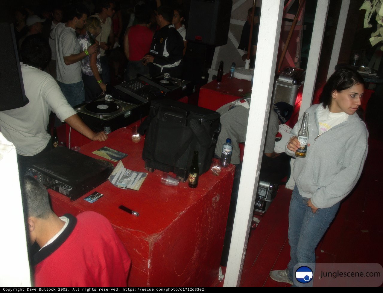 DJ at the Club