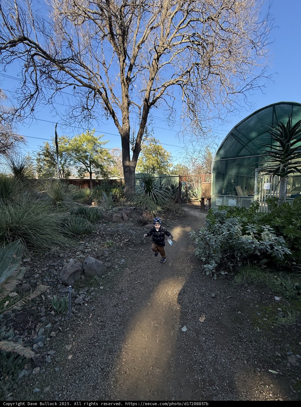Joy Amidst Nature