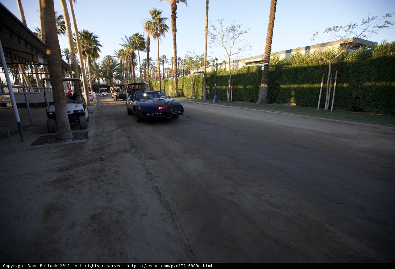 Driving Through Palm Trees
