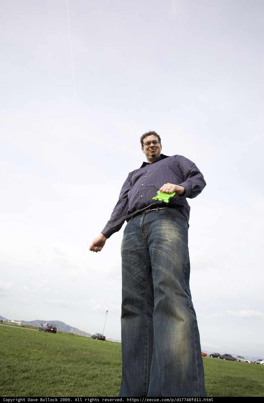 Green Frisbee Fun
