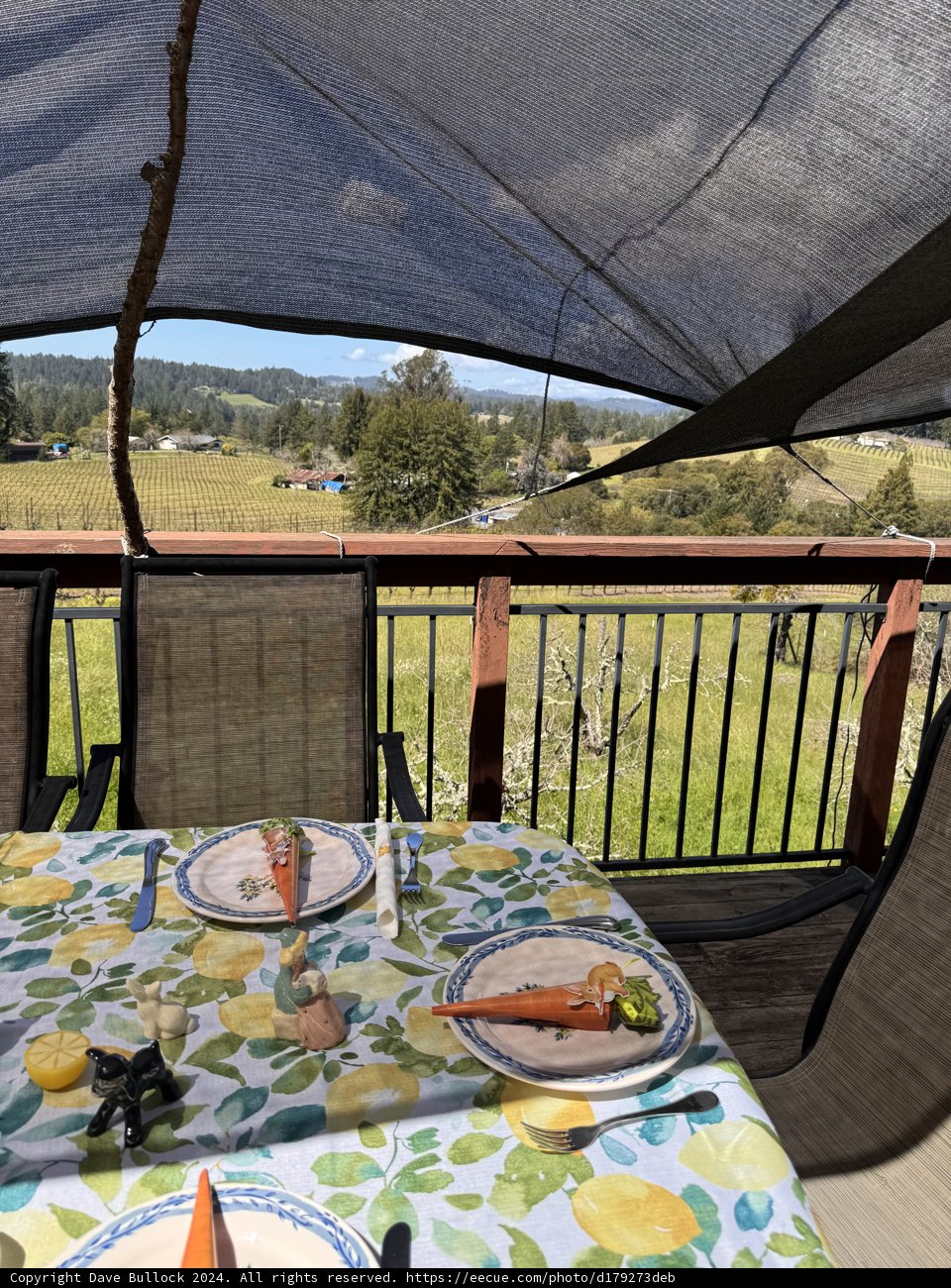Relaxed Al Fresco Dining in California